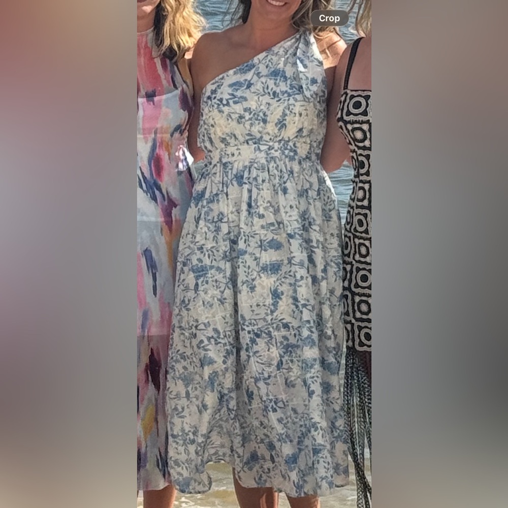 Entro Blue and White Floral Maxi Dress